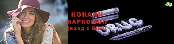 гидра Михайловск