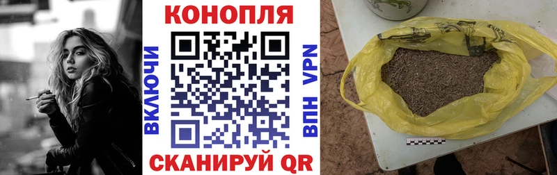 купить наркотики сайты  Ясногорск  Каннабис индика 
